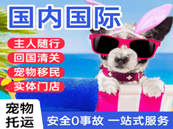 深圳航空快运国际宠物托运 【国